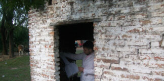 MEDICINA REGIONAL Investigadores de la UNNE describen una nueva especie de flebótomo