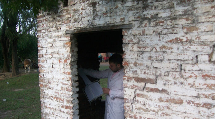 MEDICINA REGIONAL Investigadores de la UNNE describen una nueva especie de flebótomo