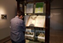 TRABAJO CONJUNTO CON EL INSTITUTO DE CULTURA DE CORRIENTES Y EL MUSEO DE BELLAS ARTES "DR. JUAN R. VIDAL" «Botánicas imaginadas», una muestra del IBONE que acerca obras de artistas de la región a la comunidad Esta muestra se realiza desde el 2016, y es parte del programa de extensión "La Universidad en el medio".