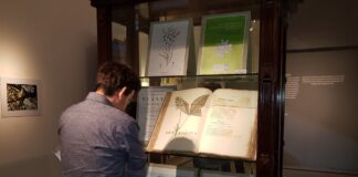 TRABAJO CONJUNTO CON EL INSTITUTO DE CULTURA DE CORRIENTES Y EL MUSEO DE BELLAS ARTES "DR. JUAN R. VIDAL" «Botánicas imaginadas», una muestra del IBONE que acerca obras de artistas de la región a la comunidad Esta muestra se realiza desde el 2016, y es parte del programa de extensión "La Universidad en el medio".