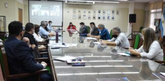 REUNIÓN CON MODALIDAD MIXTA Consejo Asesor de extensionistas de la UNNE: múltiple agenda 2021 y proyecciones de alcance regional