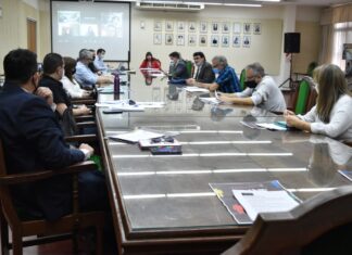 REUNIÓN CON MODALIDAD MIXTA Consejo Asesor de extensionistas de la UNNE: múltiple agenda 2021 y proyecciones de alcance regional