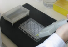 CON INSTITUTO MALBRAN Validan técnicas utilizadas en el Instituto de Medicina Regional para detección de Toxocariosis humana