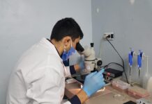 ESTUDIANTES Y GRADUADOS La UNNE otorgará 145 becas para la formación en la carrera de investigación