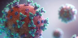 FaCENA «Covid Mitos y Verdades», Jornada de Actualización con disertación de destacados profesionales