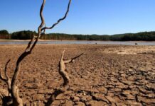 HUGO ROHRMANN, INGENIERO EN RECURSOS HÍDRICOS «Modelos meteorológicos de todo el mundo indican que La Niña estaría llegando a su fin»
