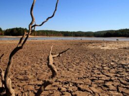 «Modelos meteorológicos de todo el mundo indican que La Niña estaría llegando a su fin»