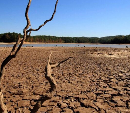 «Modelos meteorológicos de todo el mundo indican que La Niña estaría llegando a su fin»