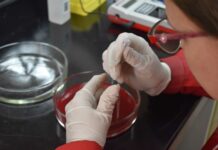 FaCENA FaCENA será sede del «XI Congreso Argentino de Química Analítica»