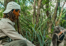 LA UNIVERSIDAD COMPROMETIDA CON EL AMBIENTE Áreas protegidas del NEA: especialistas de la UNNE capacitan al personal de Parques Nacionales de la región Participan de estos talleres, personal de los Parques Nacionales Iberá (Portal Cambyreta) y el Parque Nacional Mburucuyá, ambos en Corrientes; Parque Nacional Chaco, Parque Nacional El Impenetrable y la Reserva Natural Educativa Colonia Benítez, en dicha provincia; Reserva Natural Estricta San Antonio en Misiones y el Parque Nacional Río Pilcomayo en Formosa.