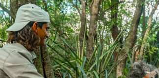 LA UNIVERSIDAD COMPROMETIDA CON EL AMBIENTE  Áreas protegidas del NEA: especialistas de la UNNE capacitan al personal de Parques Nacionales de la región Participan de estos talleres, personal de los Parques Nacionales Iberá (Portal Cambyreta) y el Parque Nacional Mburucuyá, ambos en Corrientes; Parque Nacional Chaco, Parque Nacional El Impenetrable y la Reserva Natural Educativa Colonia Benítez, en dicha provincia; Reserva Natural Estricta San Antonio en Misiones y el Parque Nacional Río Pilcomayo en Formosa.