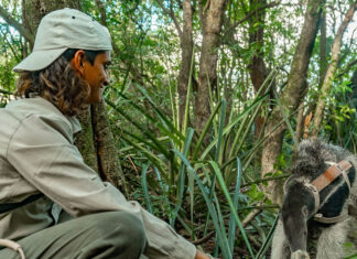 LA UNIVERSIDAD COMPROMETIDA CON EL AMBIENTE Áreas protegidas del NEA: especialistas de la UNNE capacitan al personal de Parques Nacionales de la región Participan de estos talleres, personal de los Parques Nacionales Iberá (Portal Cambyreta) y el Parque Nacional Mburucuyá, ambos en Corrientes; Parque Nacional Chaco, Parque Nacional El Impenetrable y la Reserva Natural Educativa Colonia Benítez, en dicha provincia; Reserva Natural Estricta San Antonio en Misiones y el Parque Nacional Río Pilcomayo en Formosa.