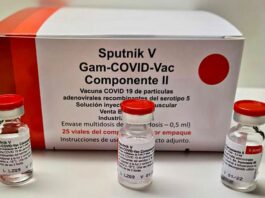 Confirman que vacunados con Sputnik V presentaron anticuerpos seis meses después de su aplicación