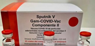 INVESTIGACIÓN DEL CONICET Confirman que vacunados con Sputnik V presentaron anticuerpos seis meses después de su aplicación