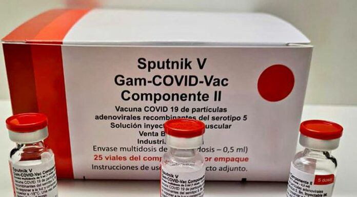 INVESTIGACIÓN DEL CONICET Confirman que vacunados con Sputnik V presentaron anticuerpos seis meses después de su aplicación