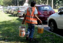 TRABAJO DE INVESTIGACION Buscan conocer y comprender las trayectorias escolares de niños y niñas, adolescentes y jóvenes “trapitos”