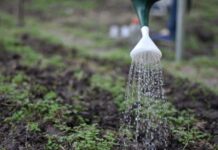Trabajo sobre educación desde un enfoque integral que incluye desde lo biológico al sociocultural La educación ambiental: novedad de Eudene para la colección Apuntes