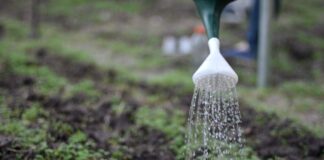 Trabajo sobre educación desde un enfoque integral que incluye desde lo biológico al sociocultural La educación ambiental: novedad de Eudene para la colección Apuntes