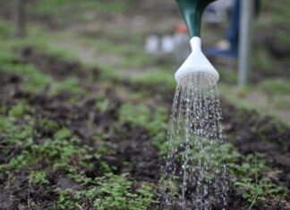 Trabajo sobre educación desde un enfoque integral que incluye desde lo biológico al sociocultural La educación ambiental: novedad de Eudene para la colección Apuntes