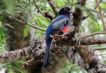 Espacio Plasma Fotografías sobre la naturaleza en la nueva exposición del CCU