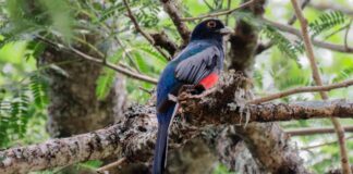 Espacio Plasma Fotografías sobre la naturaleza en la nueva exposición del CCU