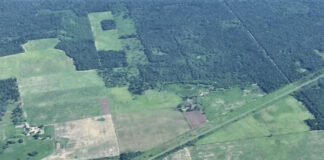 Aprovechan datos de la agencia espacial europea para estudiar cambios en las coberturas de la tierra en Chaco