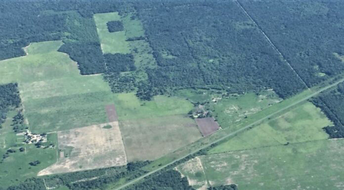 Aprovechan datos de la agencia espacial europea para estudiar cambios en las coberturas de la tierra en Chaco