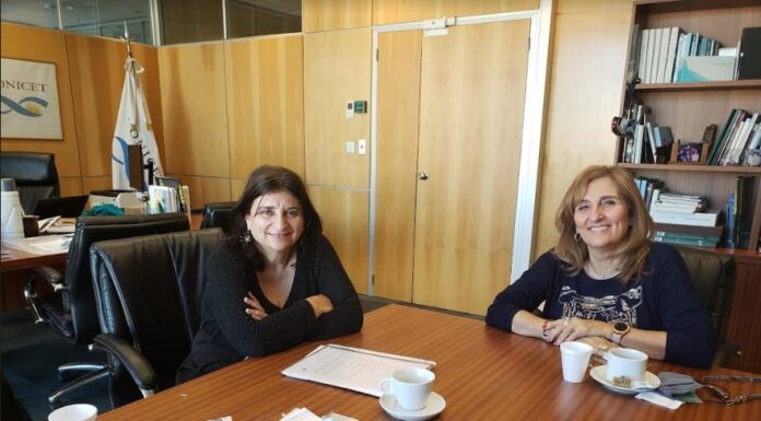 Significativa selección de investigadores de la UNNE para iniciar carrera científica en el CONICET