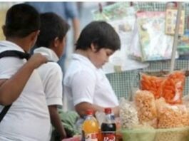 Especialista advierte que en 20 años se duplicó la cantidad de niños con obesidad en Argentina