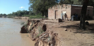 “Activate contra el mosquito”, una campaña para prevenir el dengue y otras enfermedades en El Impenetrable