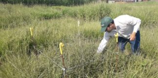 La investigación de un estudiante de la UNNE fue destacada para el mayor evento de producción animal del país