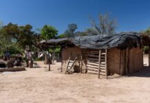 MIRADA DE ESPECIALISTAS Dengue, Chagas y Paracoccidioidomicosis, enfermedades del NEA que requieren atención de poblaciones vulnerables