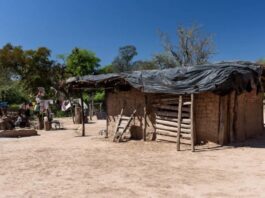 Dengue, Chagas y Paracoccidioidomicosis, enfermedades del NEA que requieren atención de poblaciones vulnerables