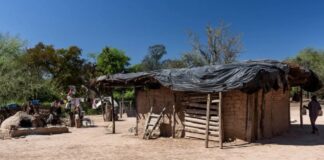 MIRADA DE ESPECIALISTAS Dengue, Chagas y Paracoccidioidomicosis, enfermedades del NEA que requieren atención de poblaciones vulnerables