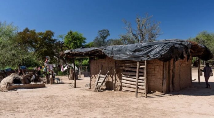 MIRADA DE ESPECIALISTAS Dengue, Chagas y Paracoccidioidomicosis, enfermedades del NEA que requieren atención de poblaciones vulnerables