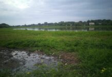 Caracterizan la situación ambiental de la principal laguna de Resistencia y aportan herramientas de monitoreo de cuerpos de agua urbanos