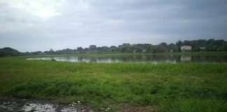 Caracterizan la situación ambiental de la principal laguna de Resistencia y aportan herramientas de monitoreo de cuerpos de agua urbanos