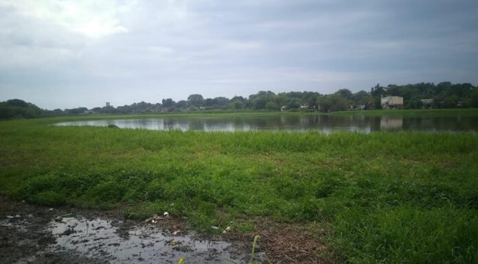 Caracterizan la situación ambiental de la principal laguna de Resistencia y aportan herramientas de monitoreo de cuerpos de agua urbanos