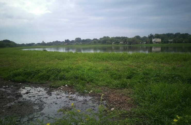 Caracterizan la situación ambiental de la principal laguna de Resistencia y aportan herramientas de monitoreo de cuerpos de agua urbanos