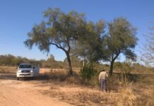 GRAN CHACO Estudian cómo incidiría el cambio climático en las áreas de distribución del Quebracho Blanco El cambio climático y su posible impacto sobre el quebracho blanco