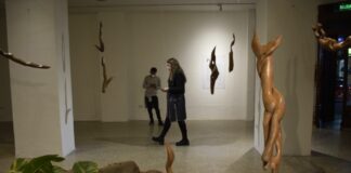 Centro Cultural Universitario “PI” de Tati Cabral en la Sala del Sol