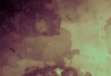 Centro Cultural Universitario “La fotografía es un registro que nos remite a la memoria tanto sensorial como emotiva”