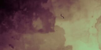 Centro Cultural Universitario “La fotografía es un registro que nos remite a la memoria tanto sensorial como emotiva”