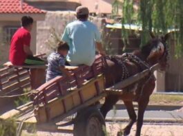 «Somos conscientes de que la tracción a sangre debe eliminarse» Carrero de la ciudad de Corrientes