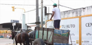 Urbanismo Acercan al Municipio de Corrientes una propuesta para sustituir progresivamente los carros de Tracción a Sangre