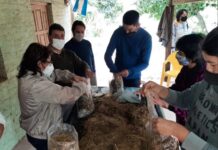 Promueven la producción de hongos comestibles como alternativa económica