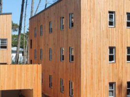 Analizan la factibilidad del uso de “madera laminada cruzada” en construcciones de la región NEA