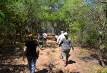 Desarrollo Sostenible: investigadores de la UNNE estudiarán como se aporta desde el Impenetrable chaqueño al cumplimiento de los ODS 2030