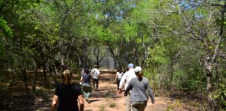 Desarrollo Sostenible: investigadores de la UNNE estudiarán como se aporta desde el Impenetrable chaqueño al cumplimiento de los ODS 2030