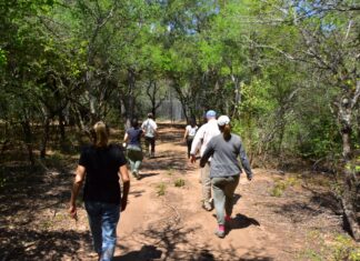 Desarrollo Sostenible: investigadores de la UNNE estudiarán como se aporta desde el Impenetrable chaqueño al cumplimiento de los ODS 2030
